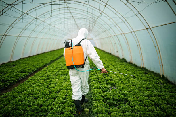Best Best Pest Control Companies  in Bear Creek, FL
